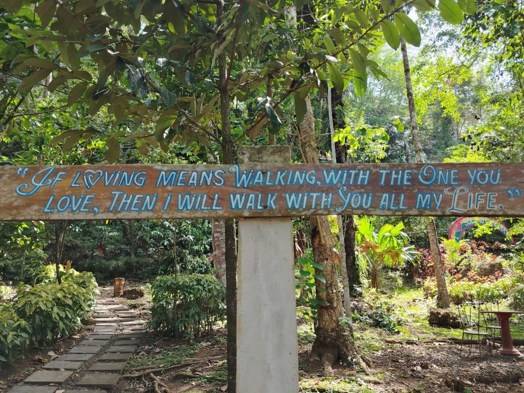 Solong Eco Park