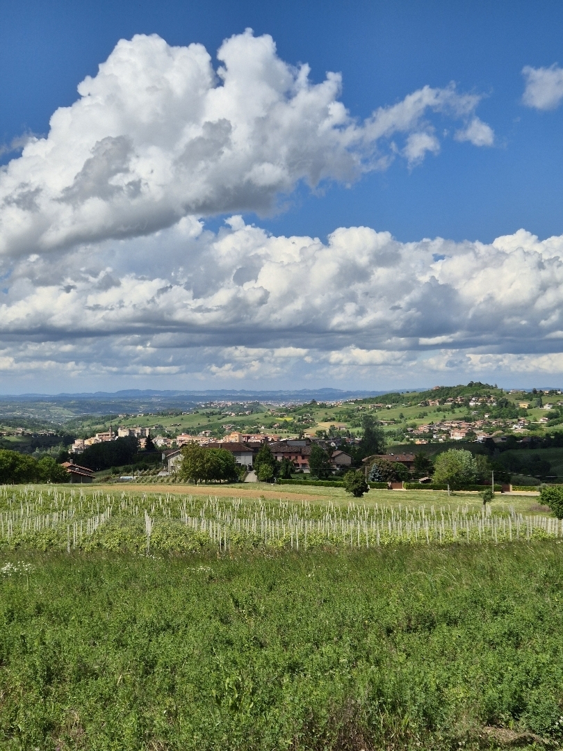 Villa Loreto in Piemonte