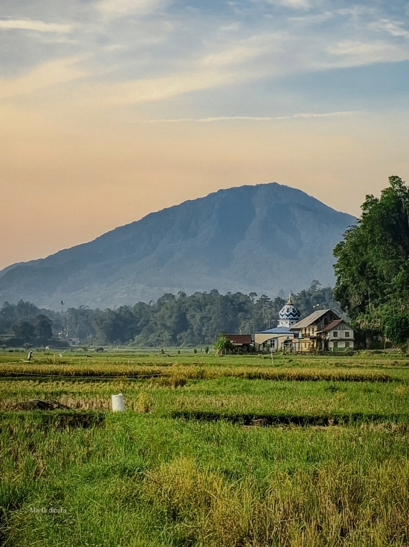 Pagi itu