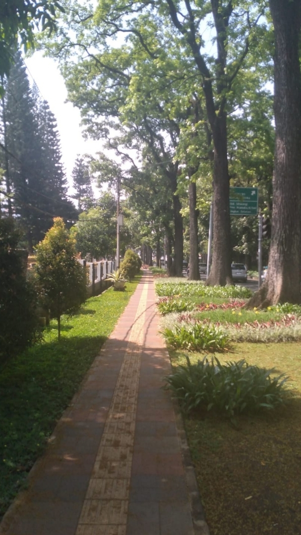 Shade on Pedestrian