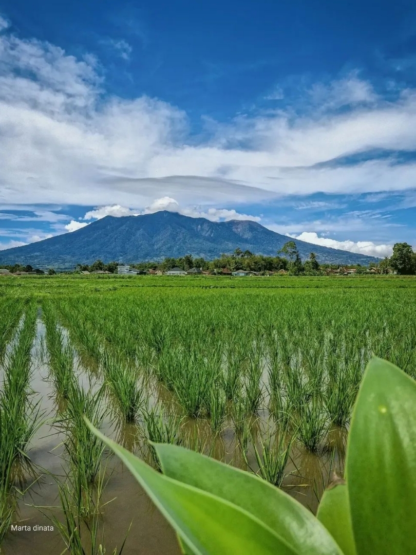 Gunung Marapi