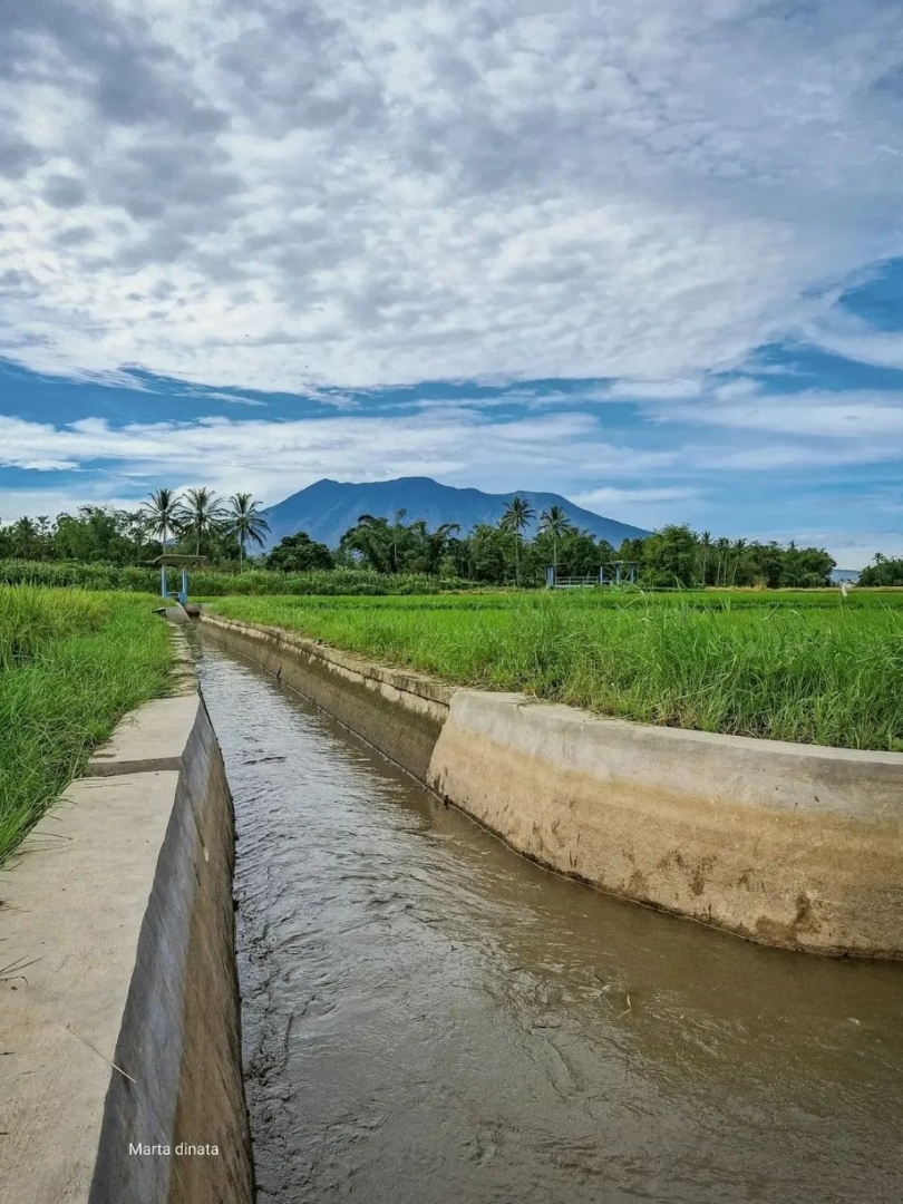Berselimut awan