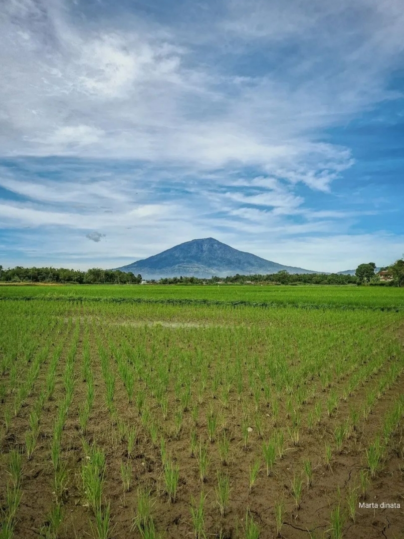 Gunung Singgalang