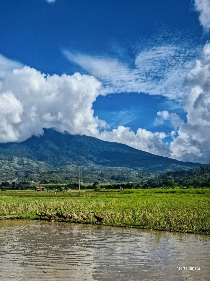 Gumpalan awan