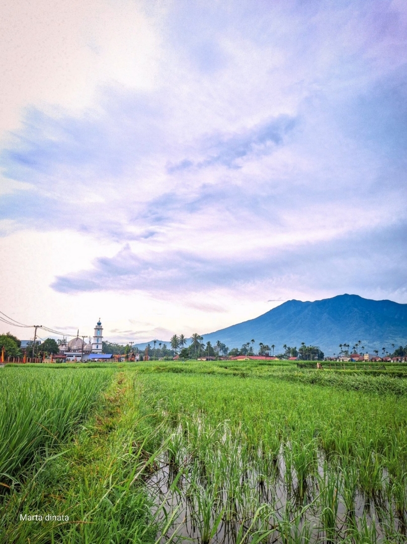Menikmati fajar