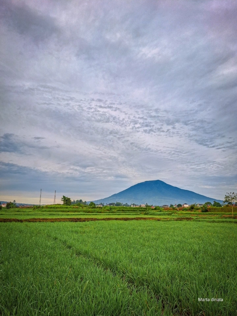 Secerah pagi