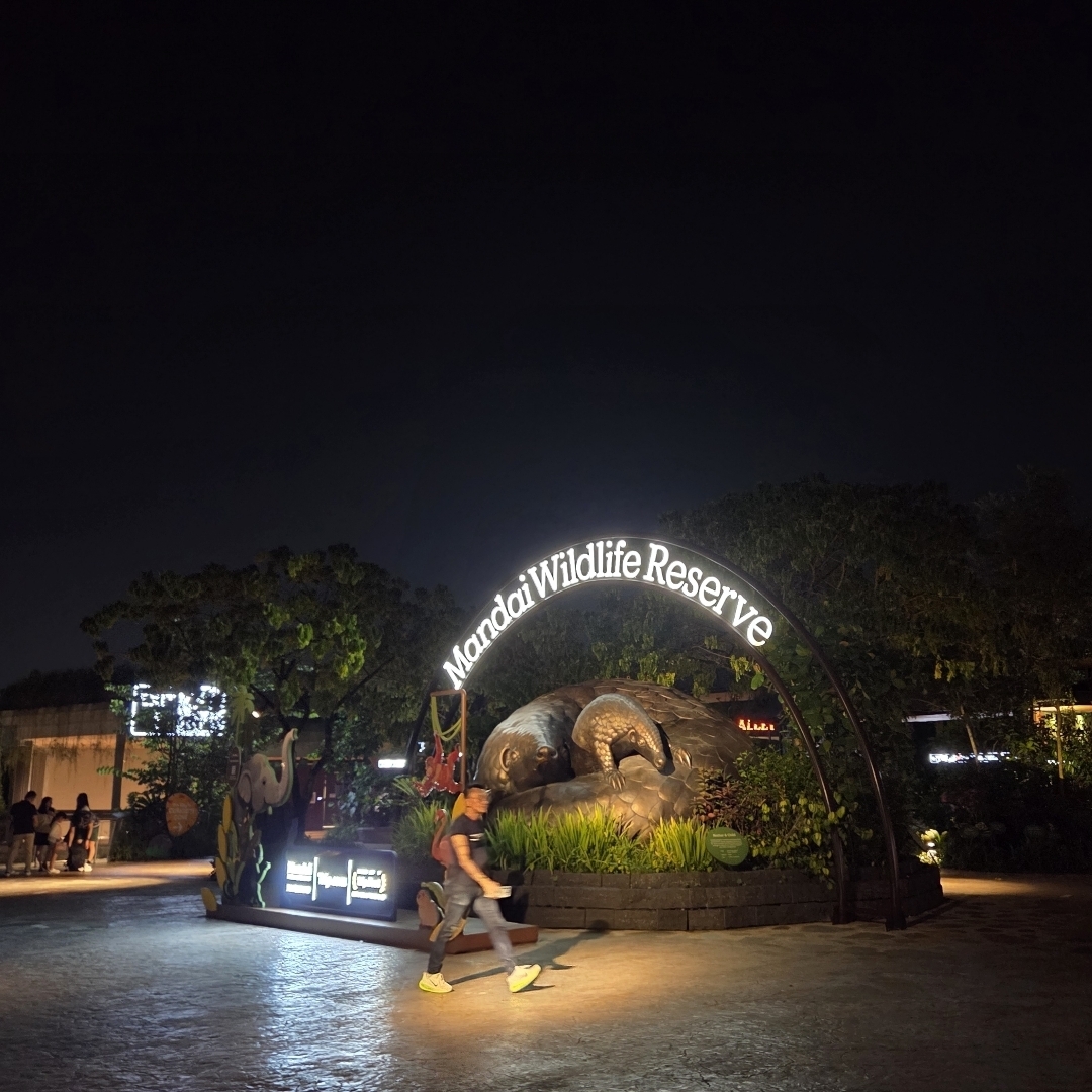 night shot of the night safari