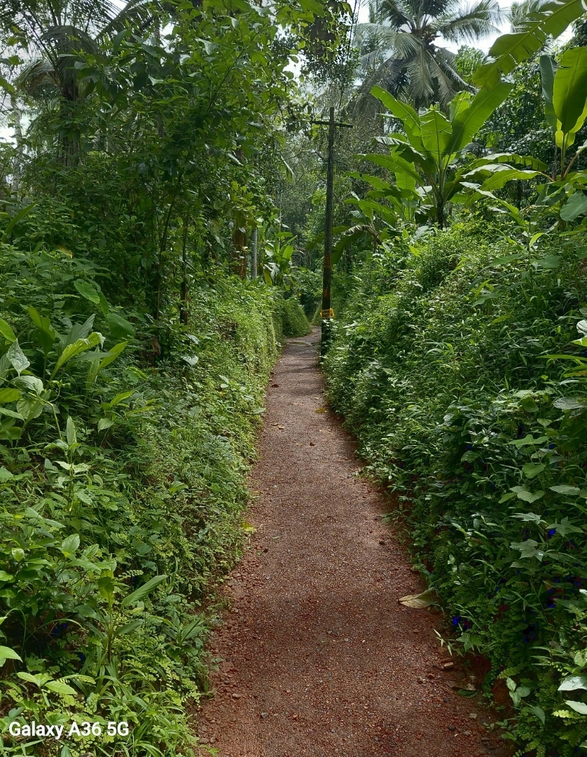 village