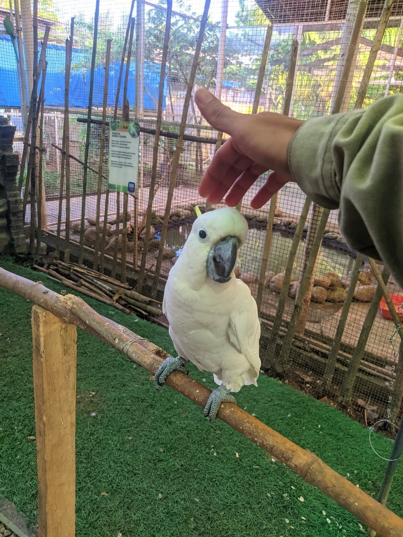 Batam Zoo Paradise