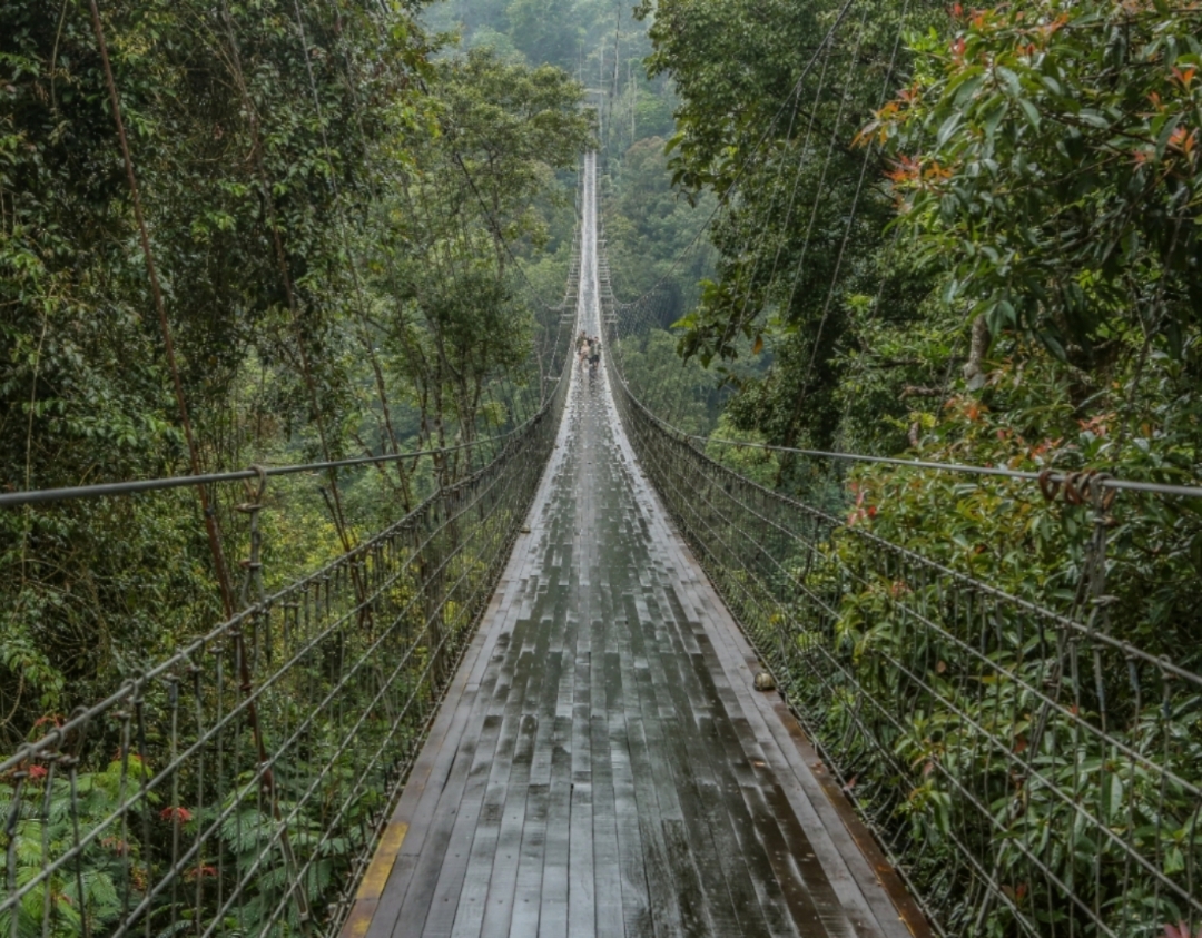 Situ Gunung Sukabumi