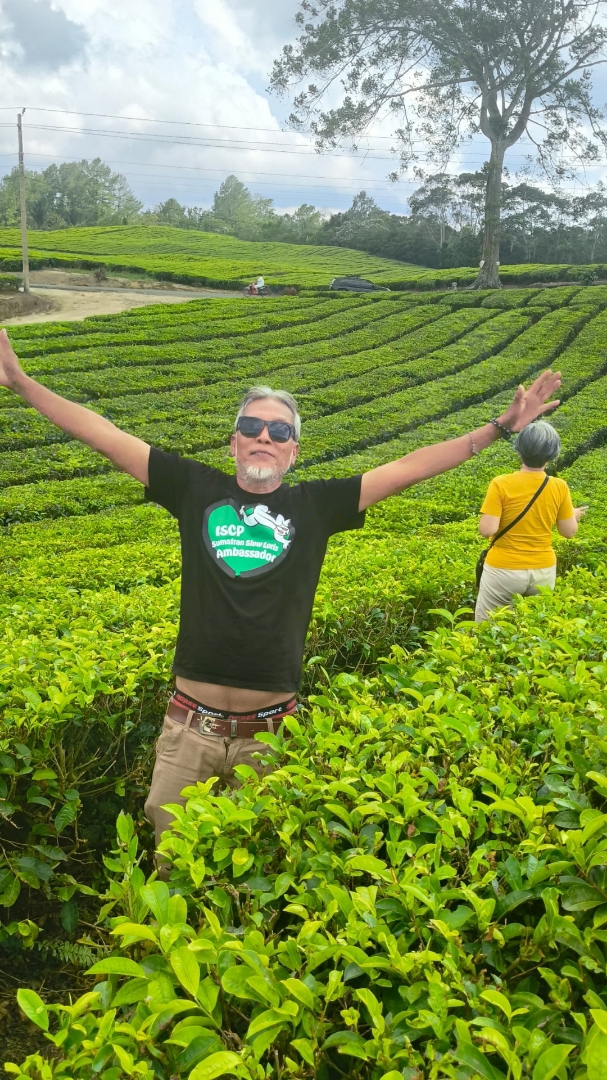 tea plantation