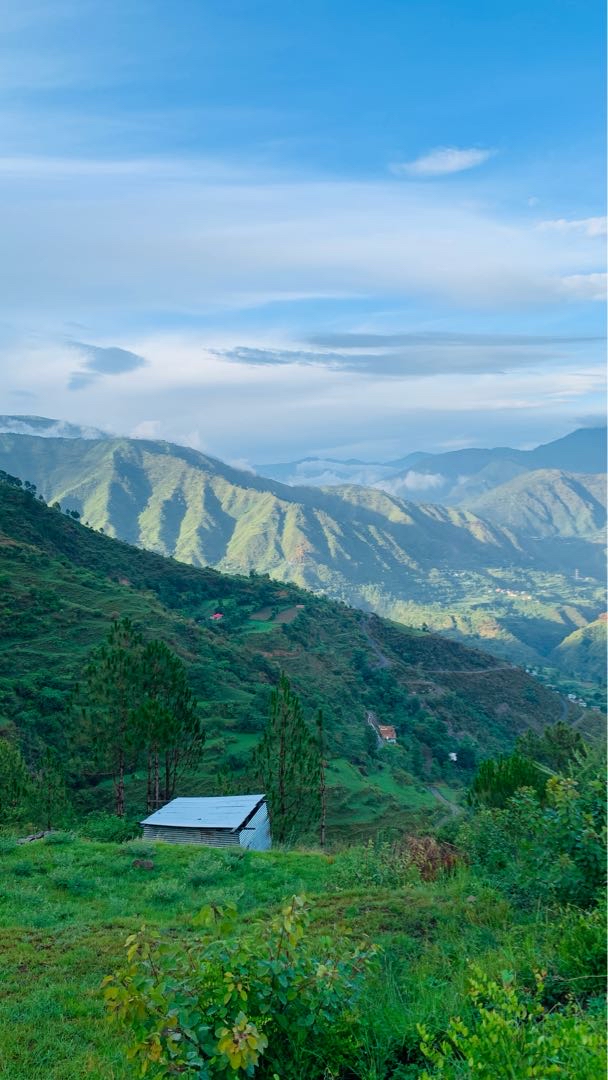 Building a home here
