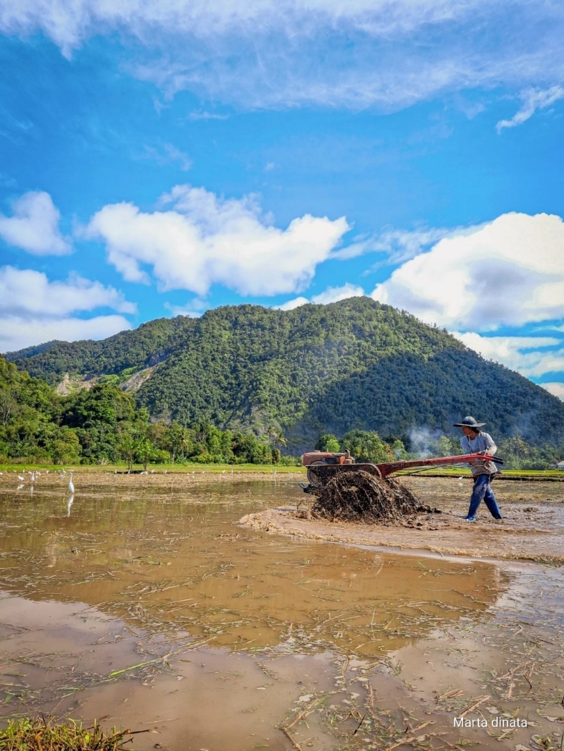 Senandung alam