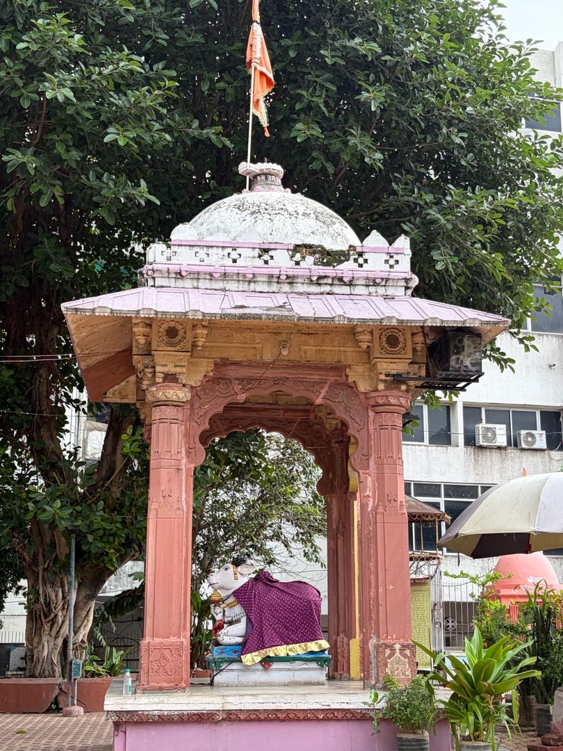 Nandi Maharaja At Shiv Temple