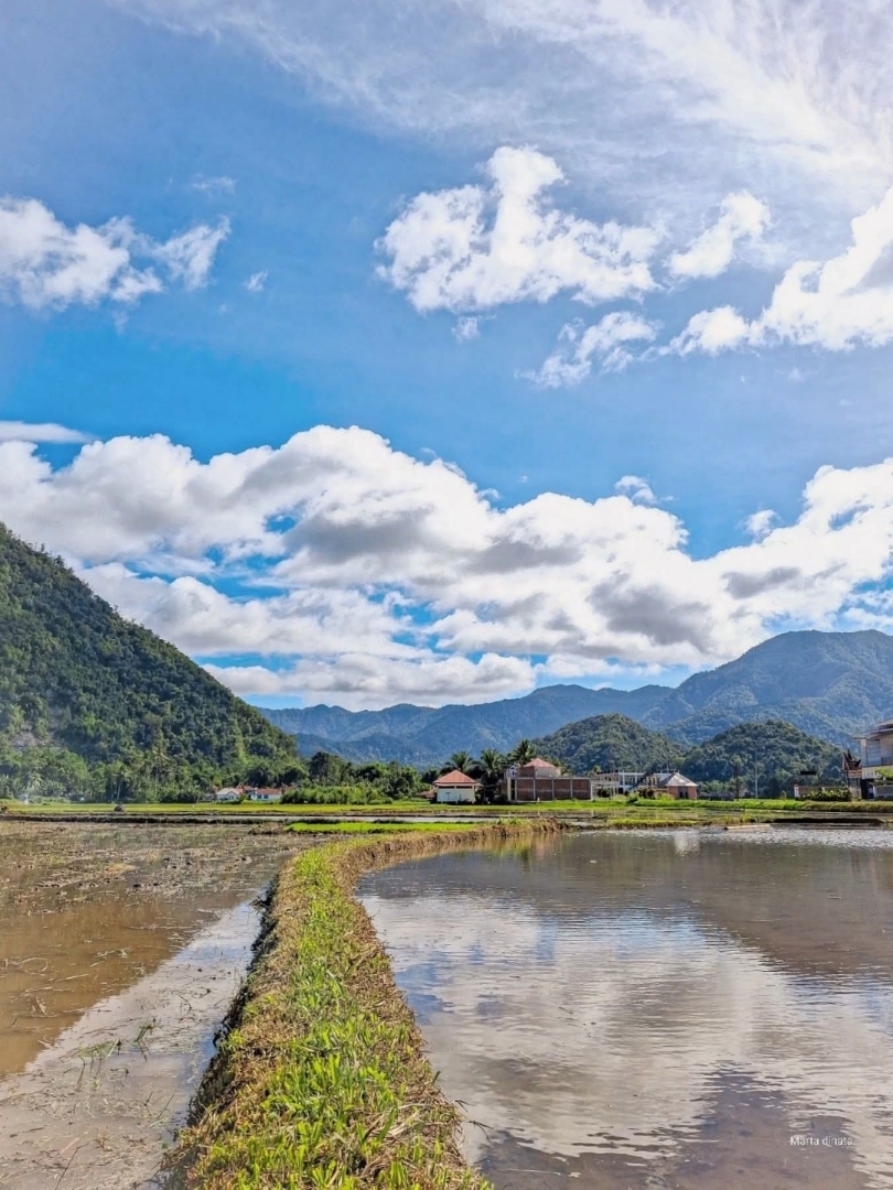 Suasana desa