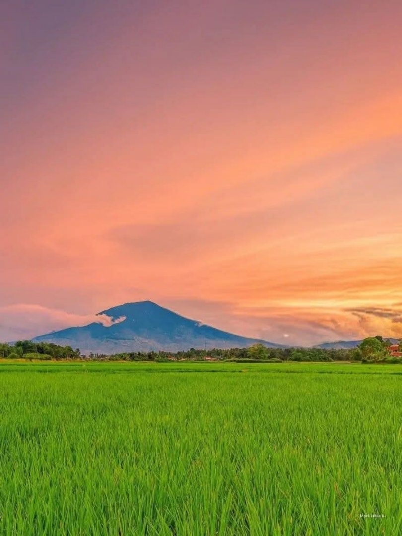 Menunggu senja yang merona