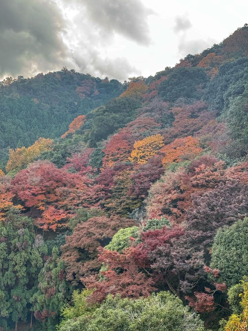 Arashiyama Park🇯🇵