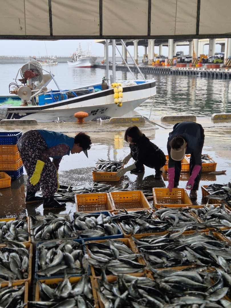 주문진 항구 Jumunjin Port