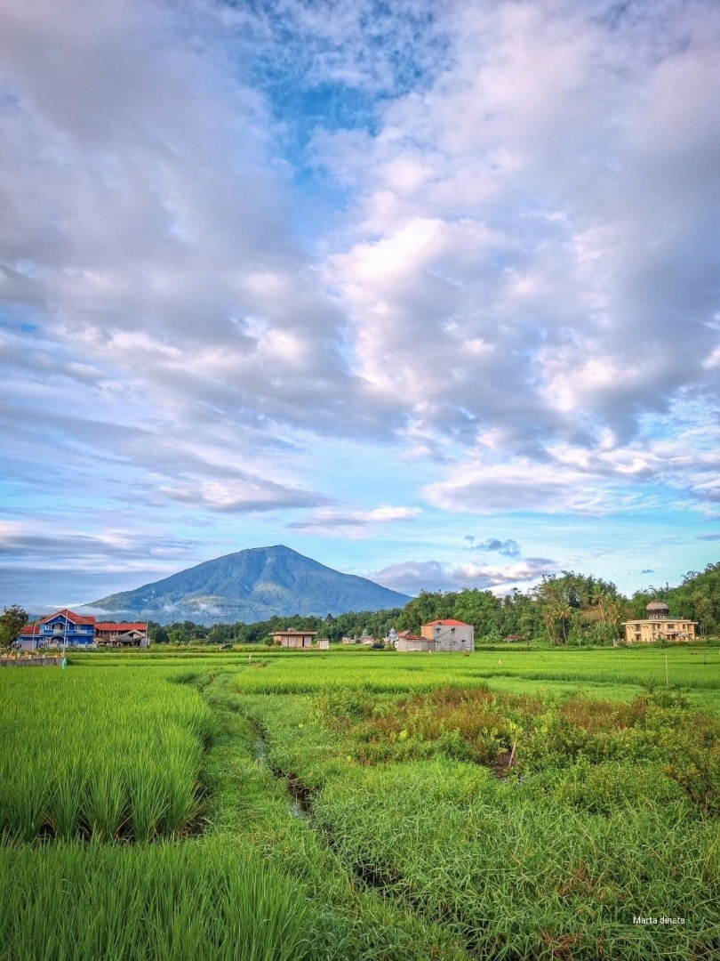 pagi yang cerah