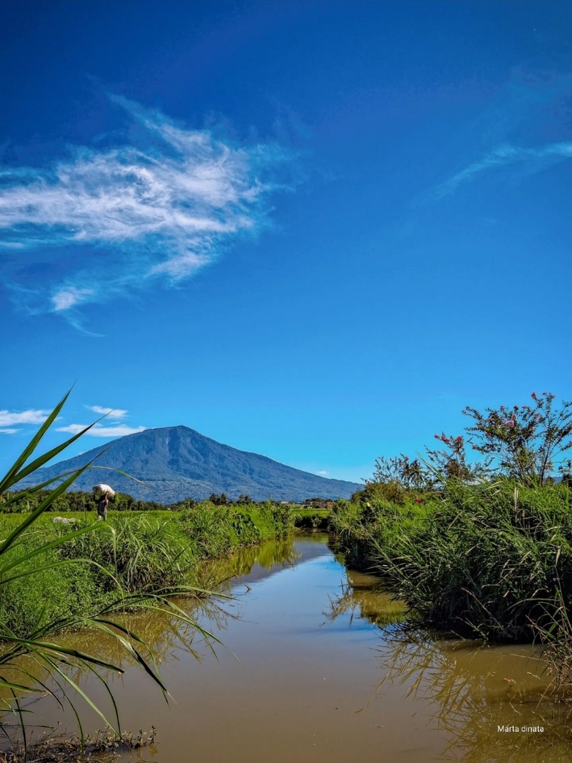 Alam yang damai