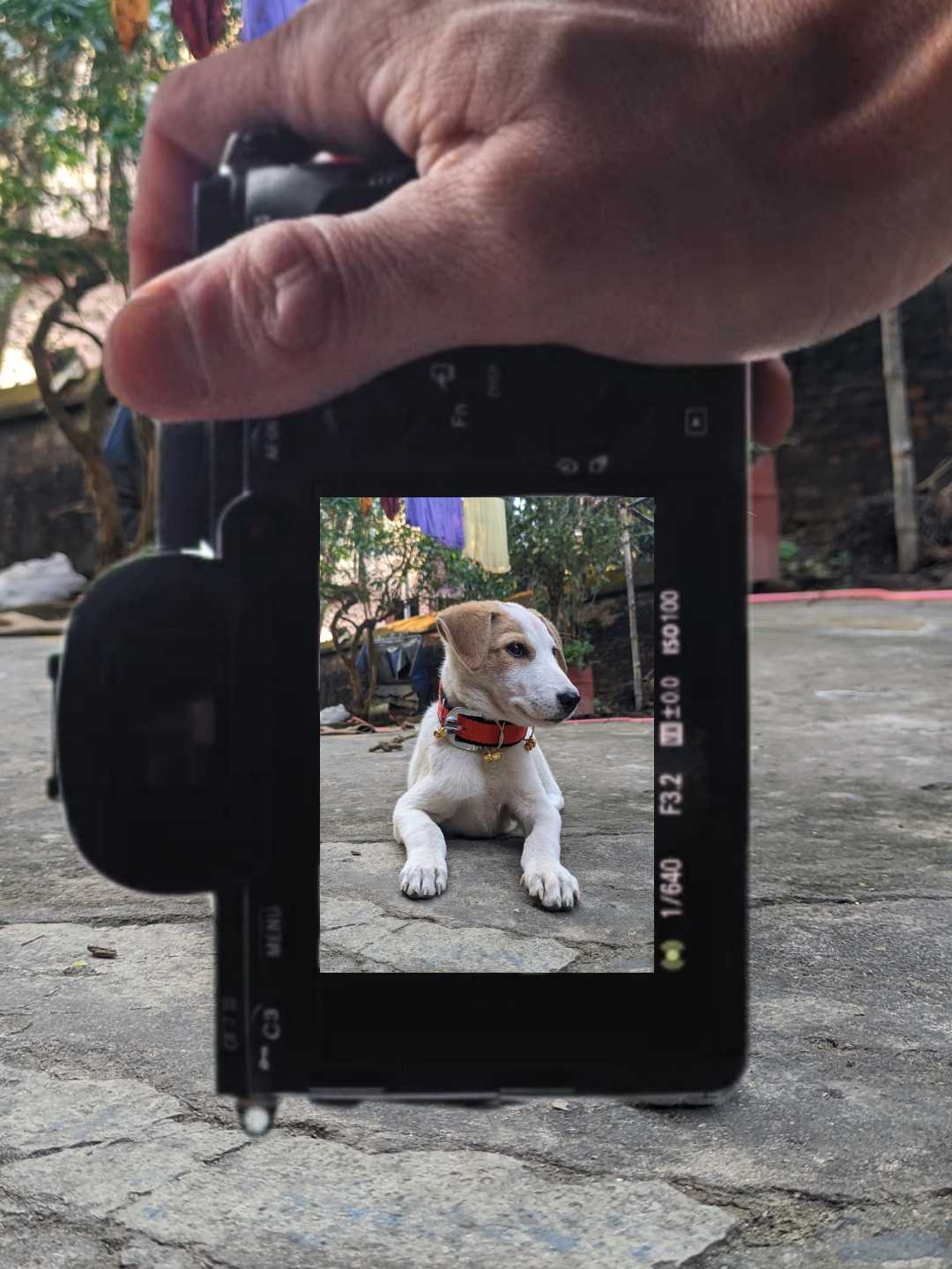 Photo editing 🤫