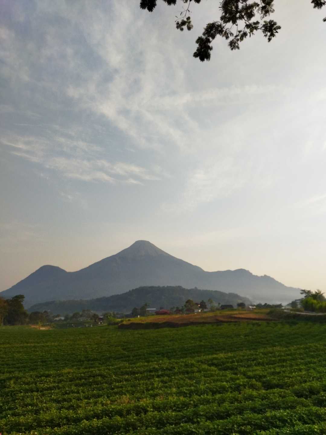 Desa Wisata di Kab. Mojokerto