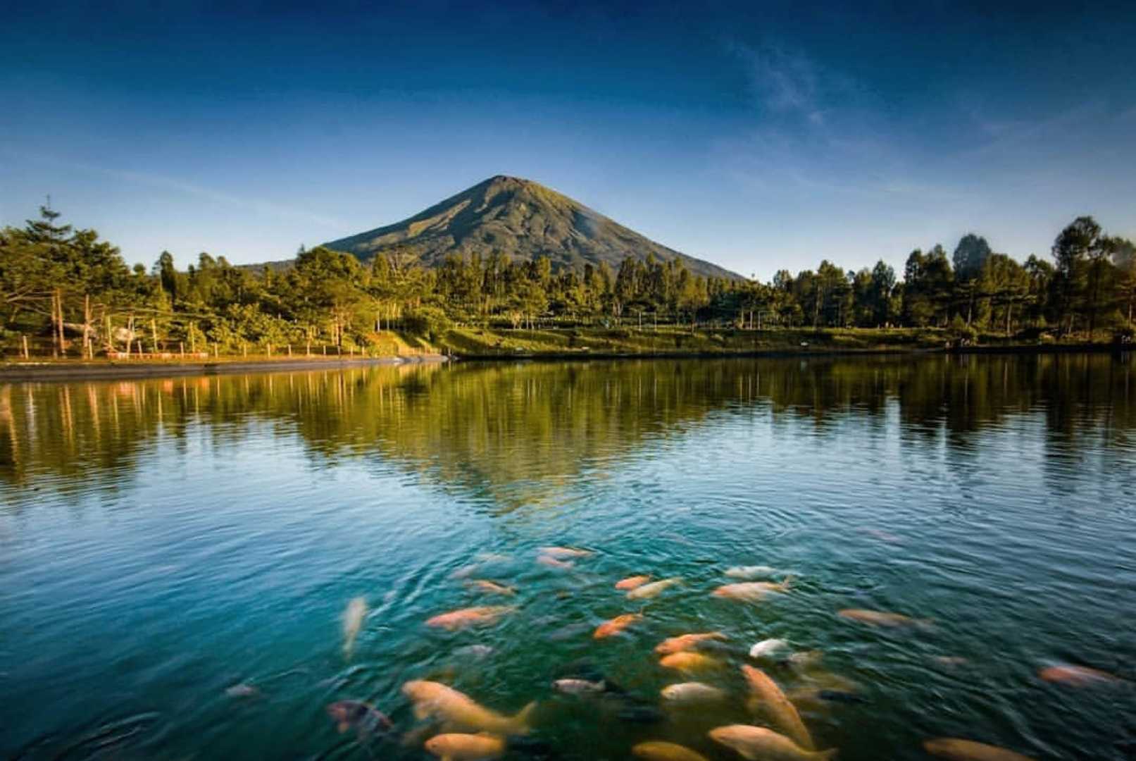 Daylight di embung kledung bersama ikan ikan 