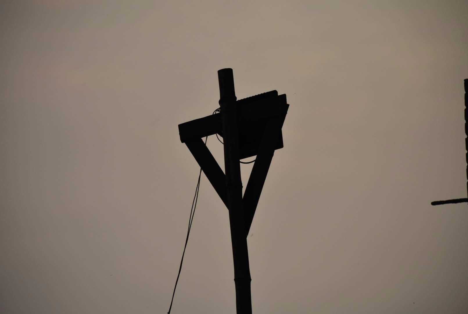 Dusky Silhouette.