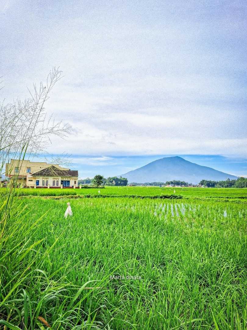 Pagi yang cerah