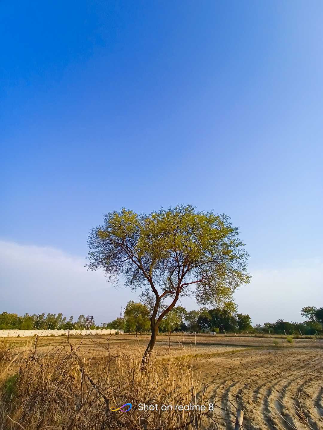 Random shot