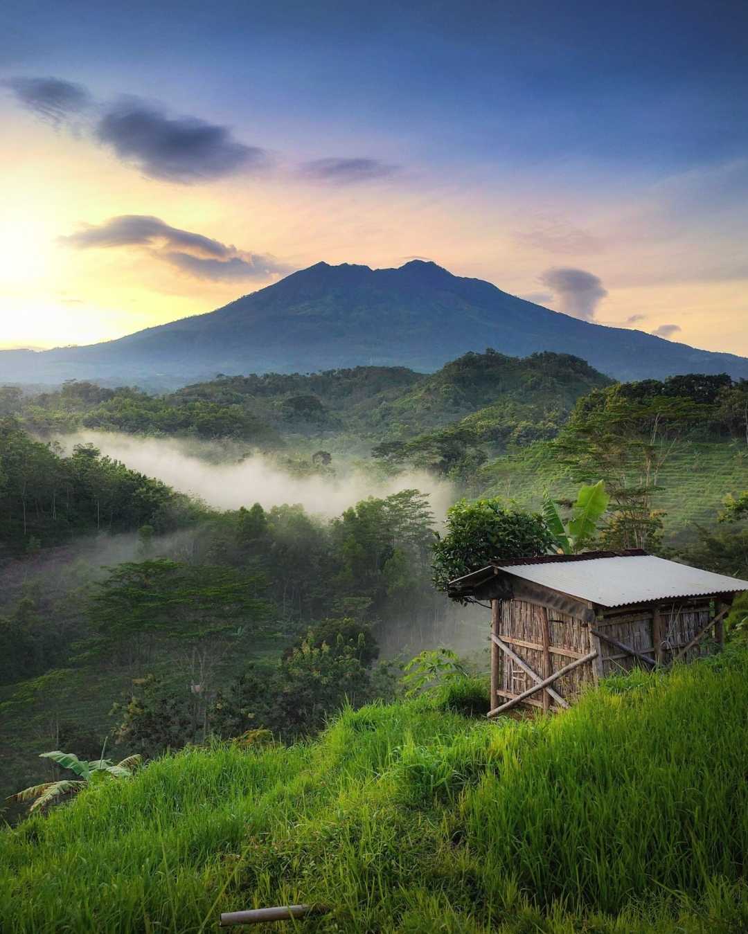 Kabut Pagi.