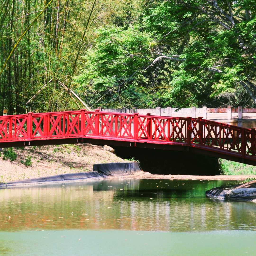 Jardín Botánico