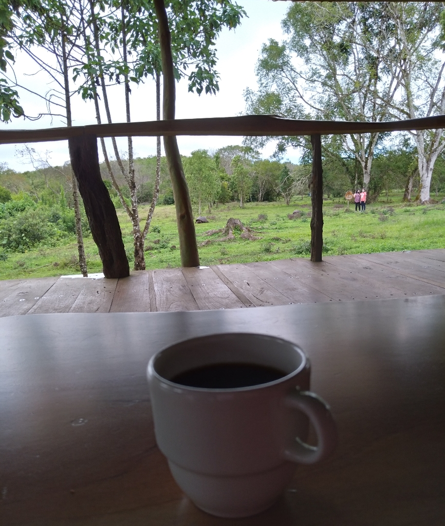 ☕🍃