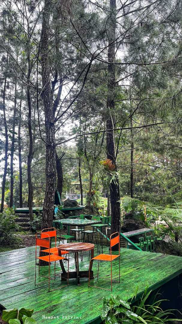 LQ Forest