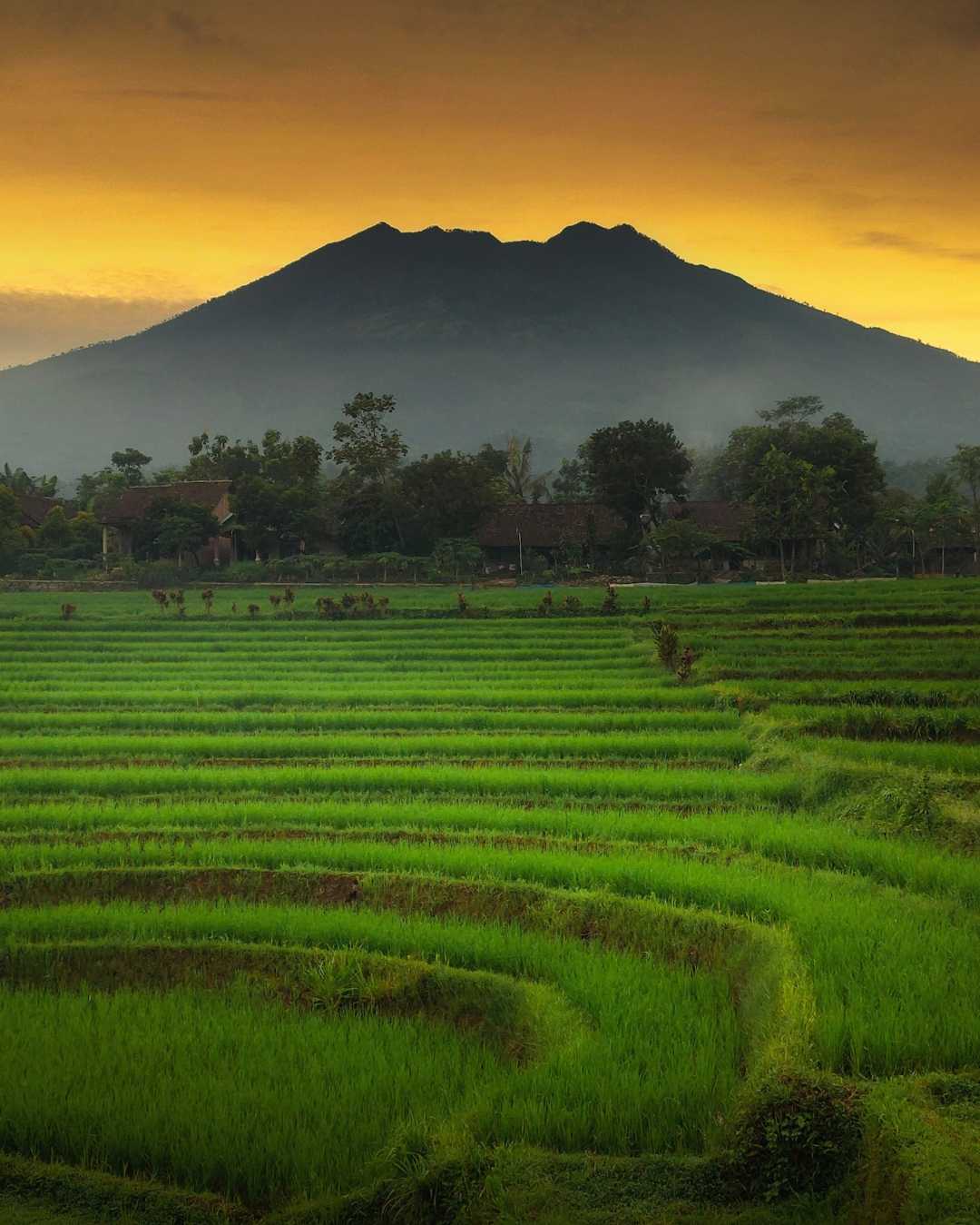 Mount Lawu & Sunsets.