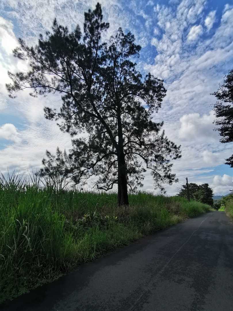 Naranjo, Costa Rica