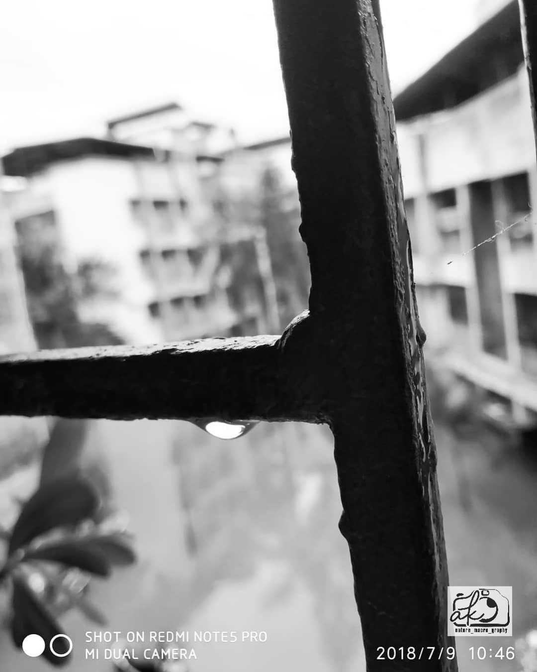 Lonely Drop