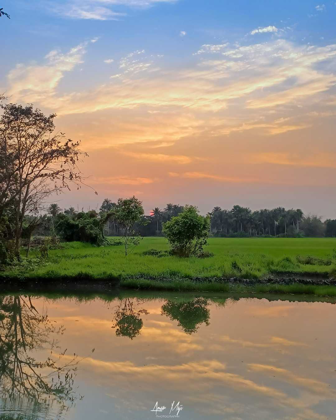 Dusk lights! 🧡
