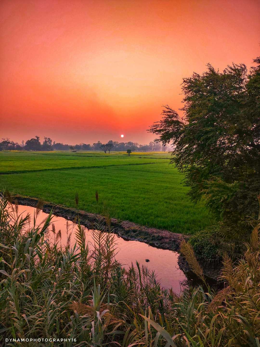 Sunset 🌇