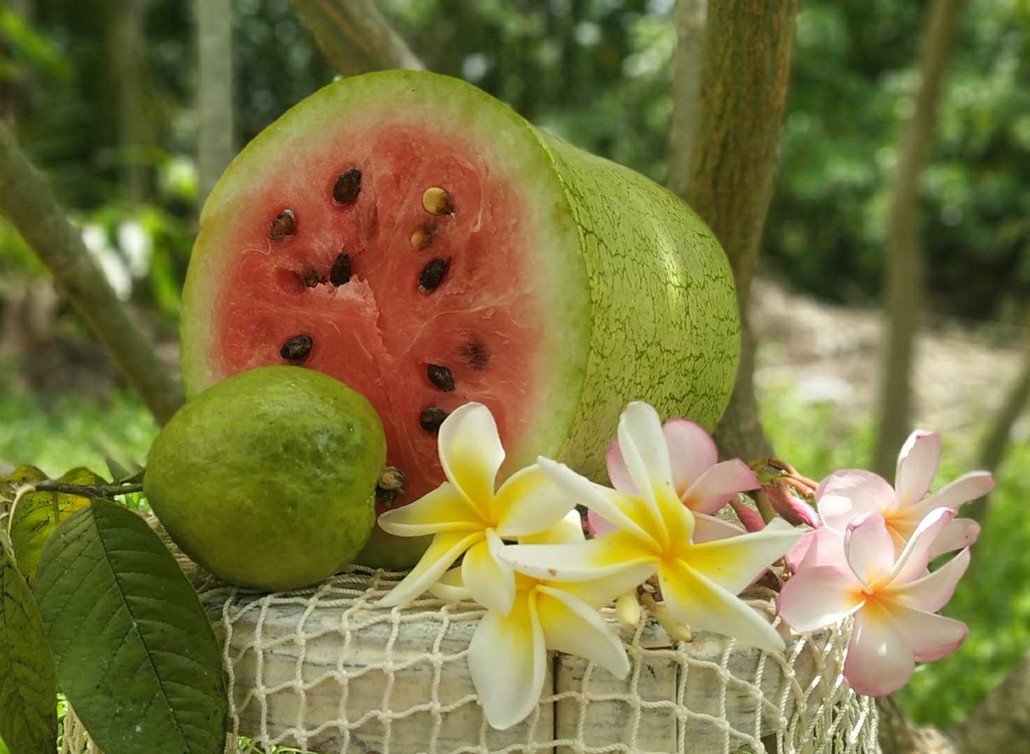 Frutas tropicales 