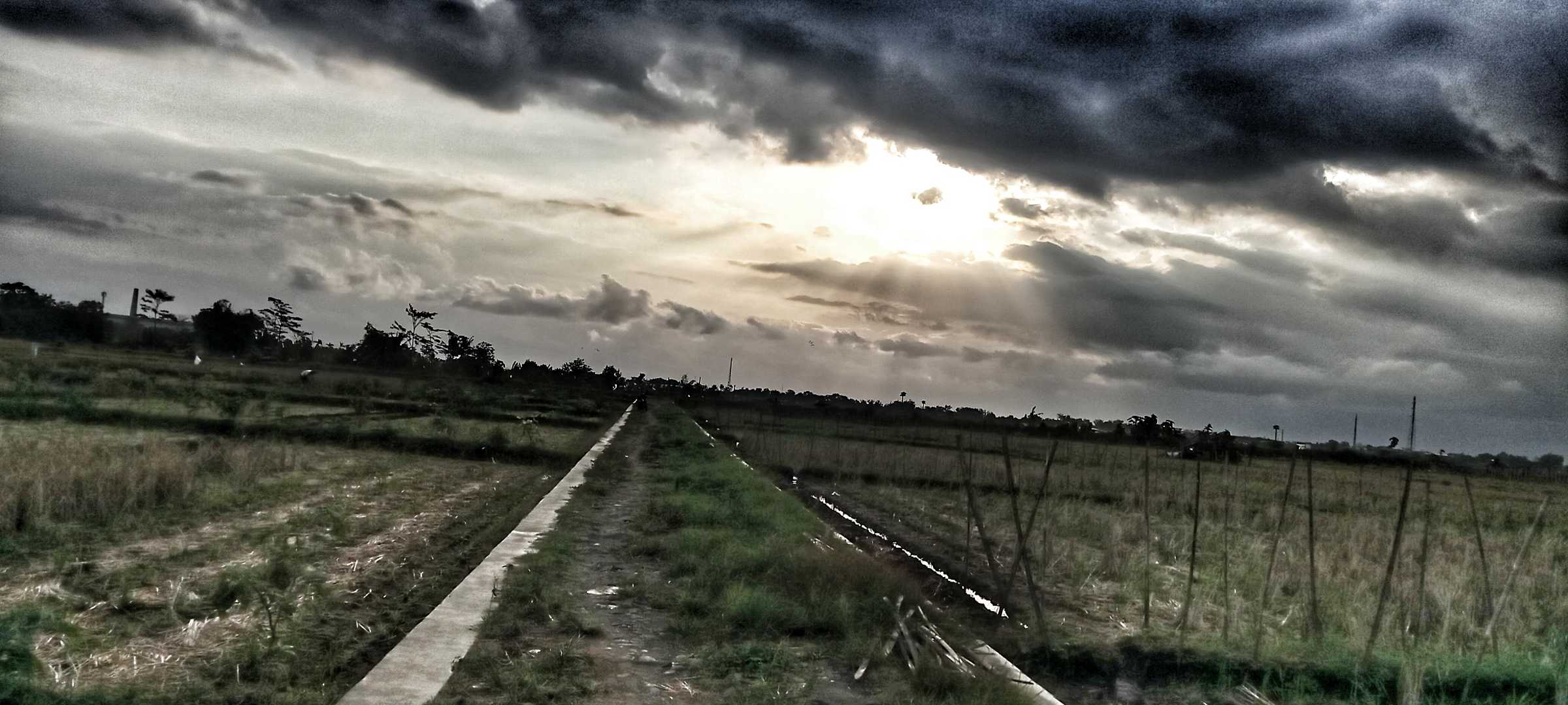 Menjelang Senja di Tengah Sawah