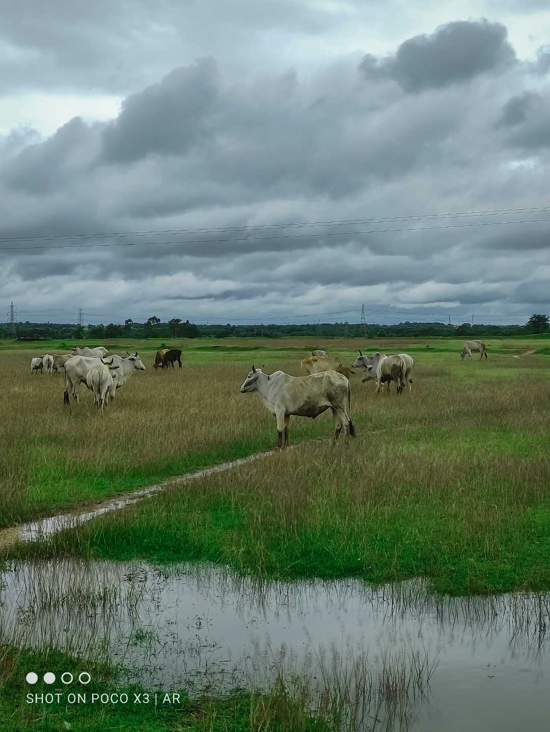 purulia