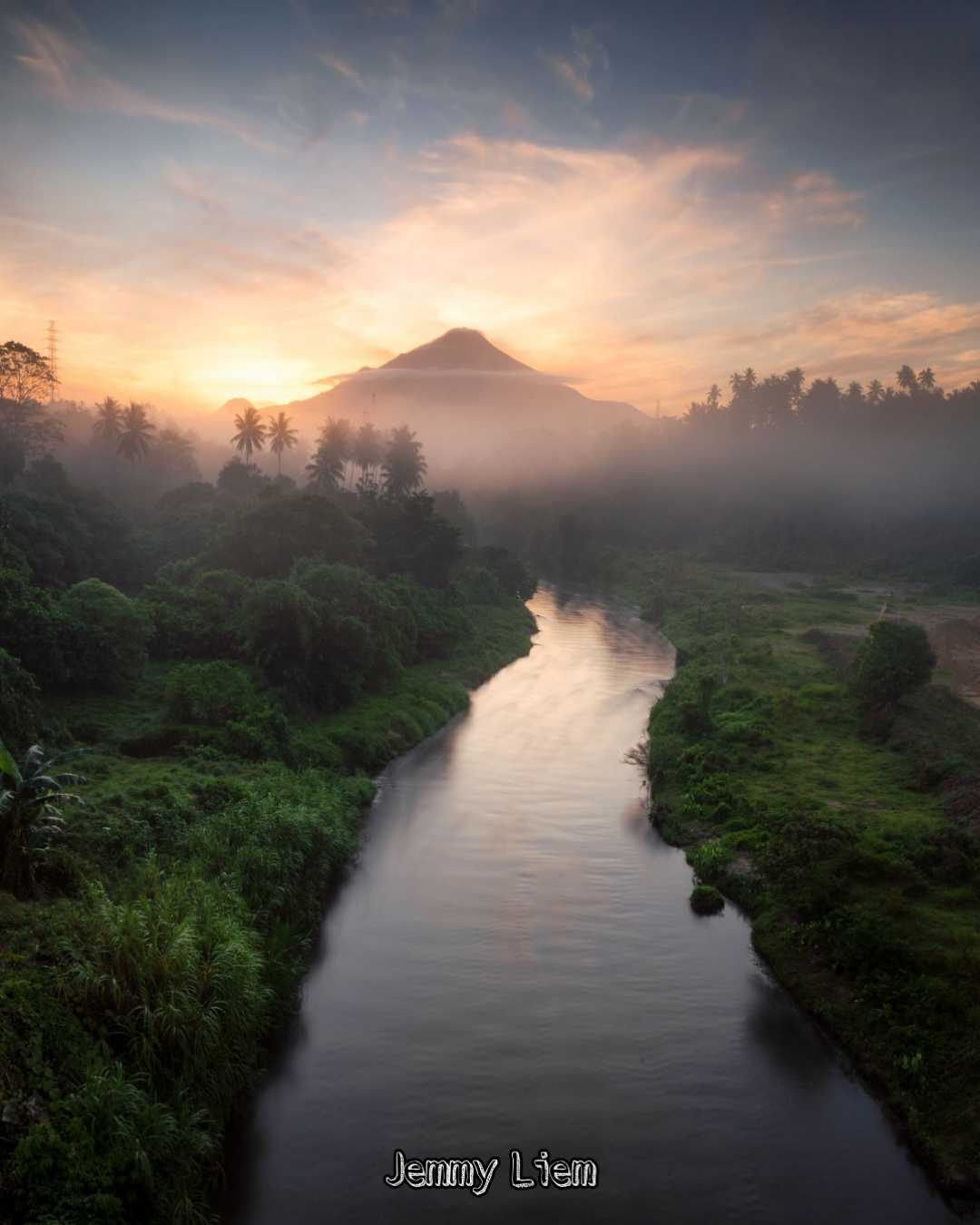Fog in the morning