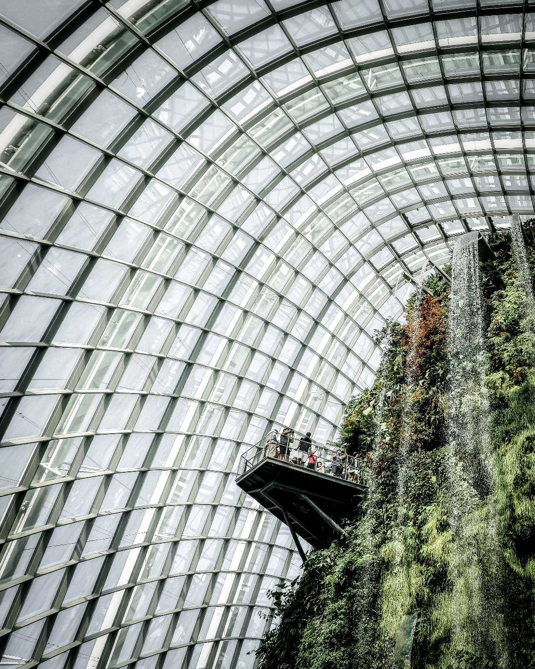 Man-made Forest