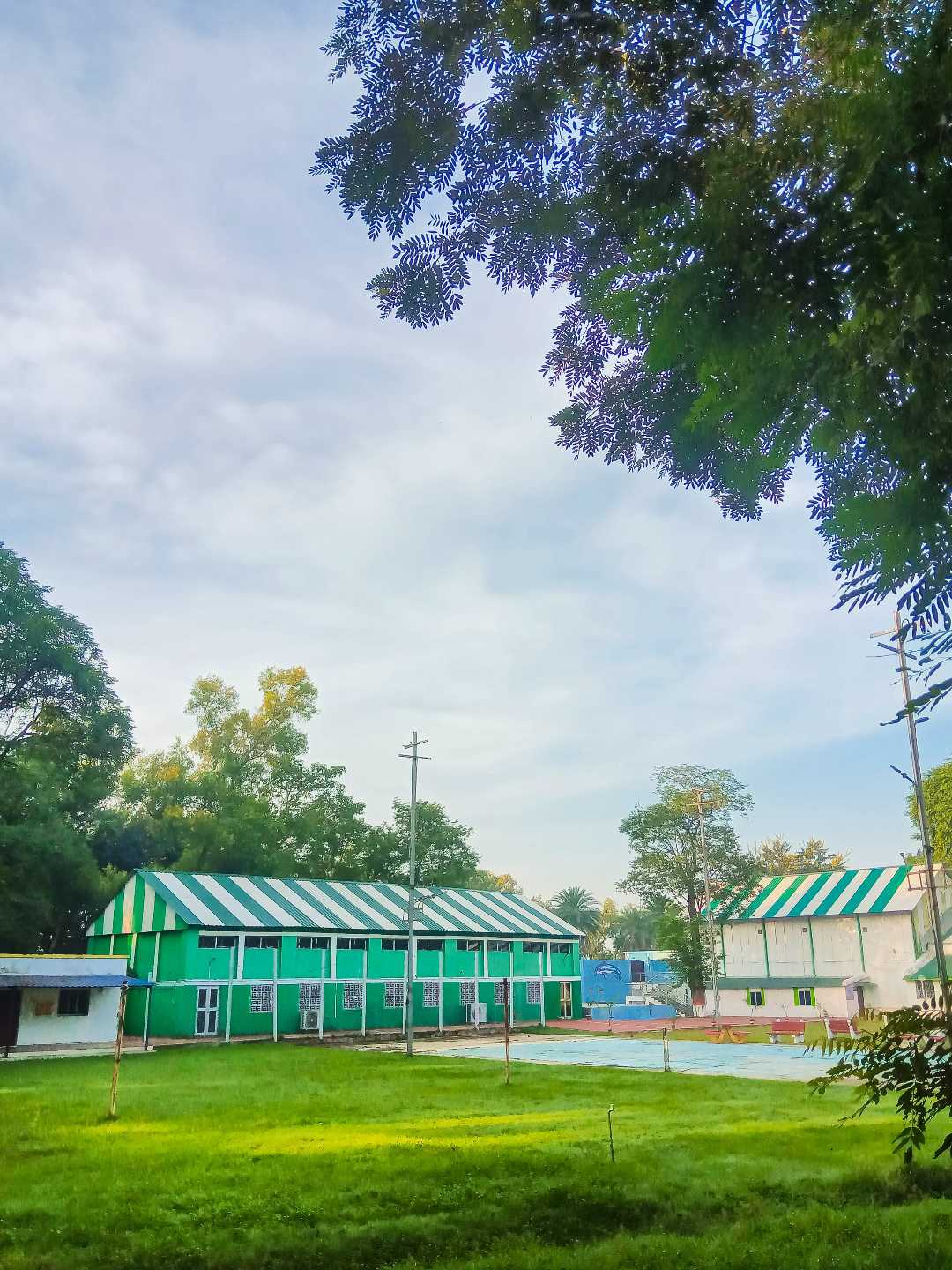 too much green
