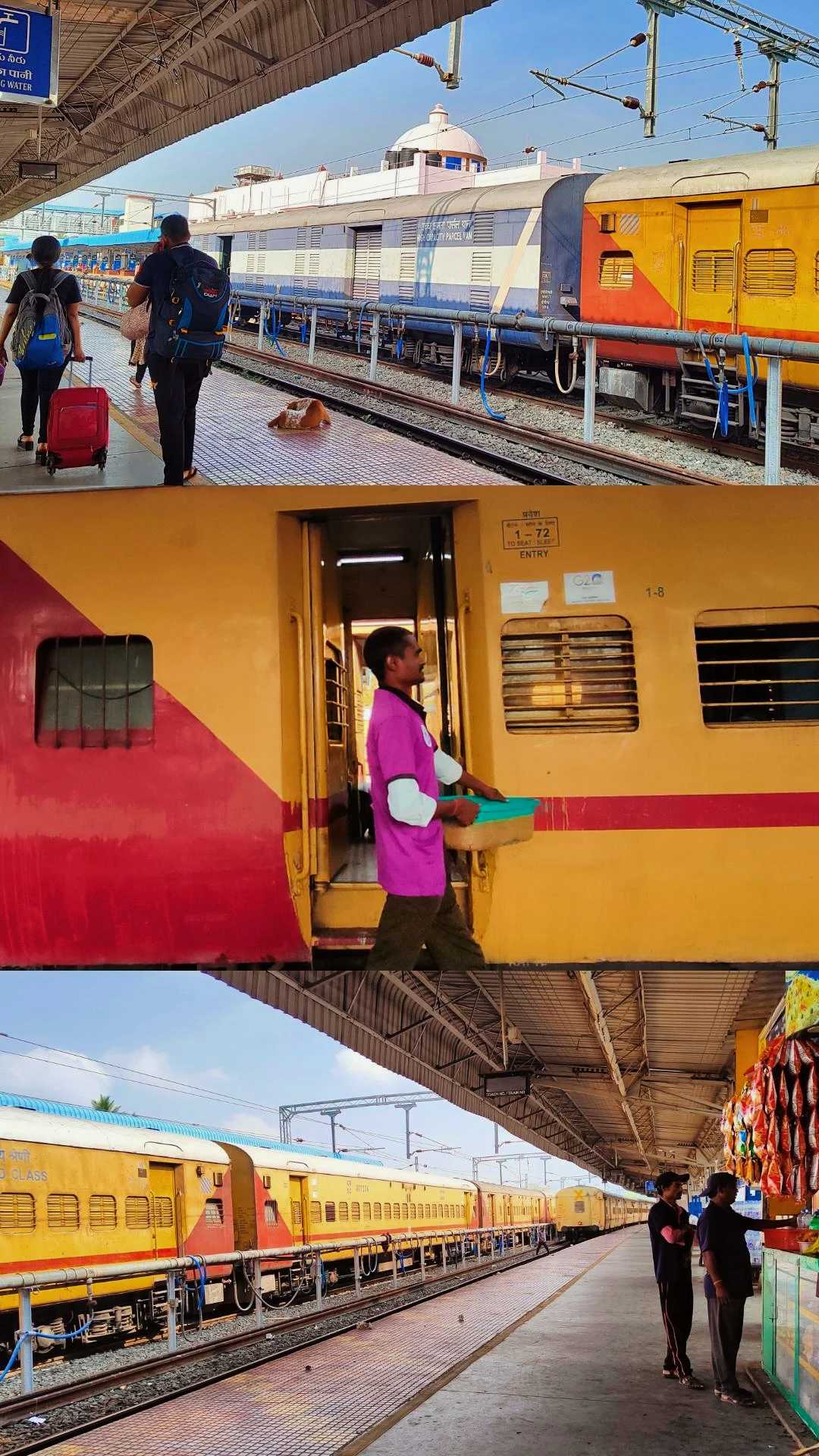 🚂Safarana 