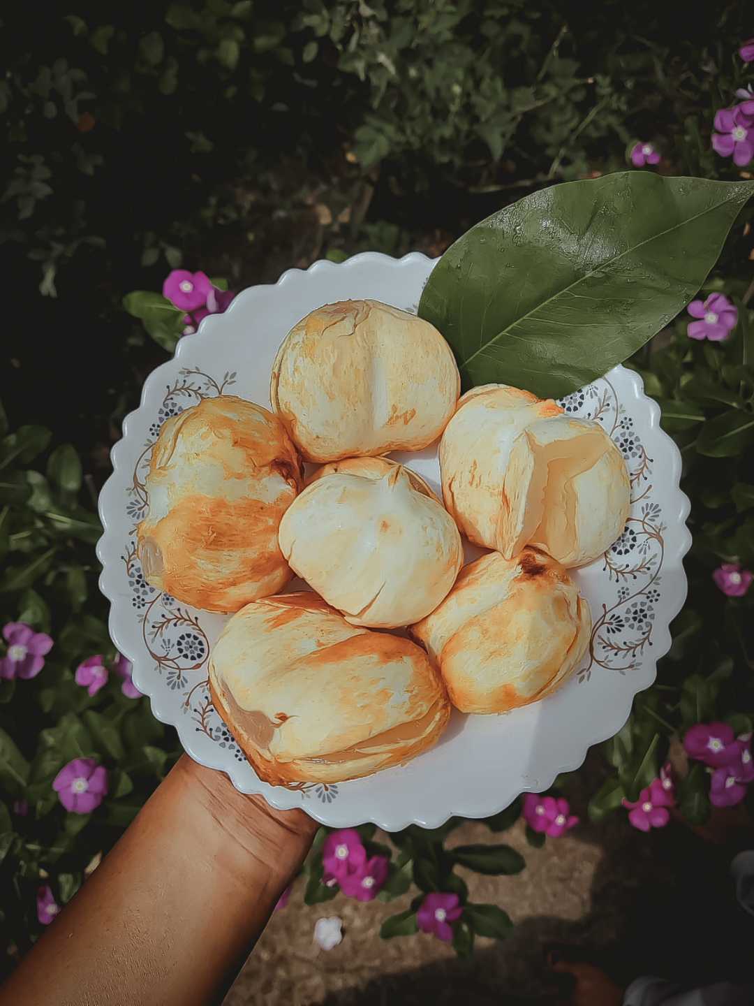 ତାଳ (Doub palms)