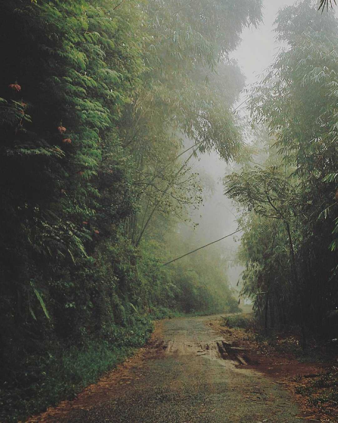 sweet escape
