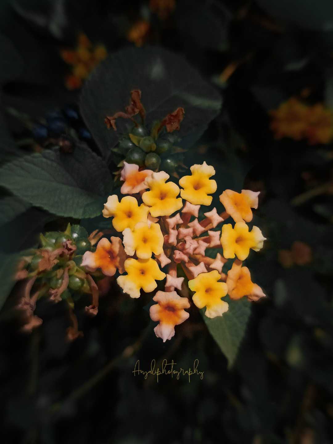 random click 