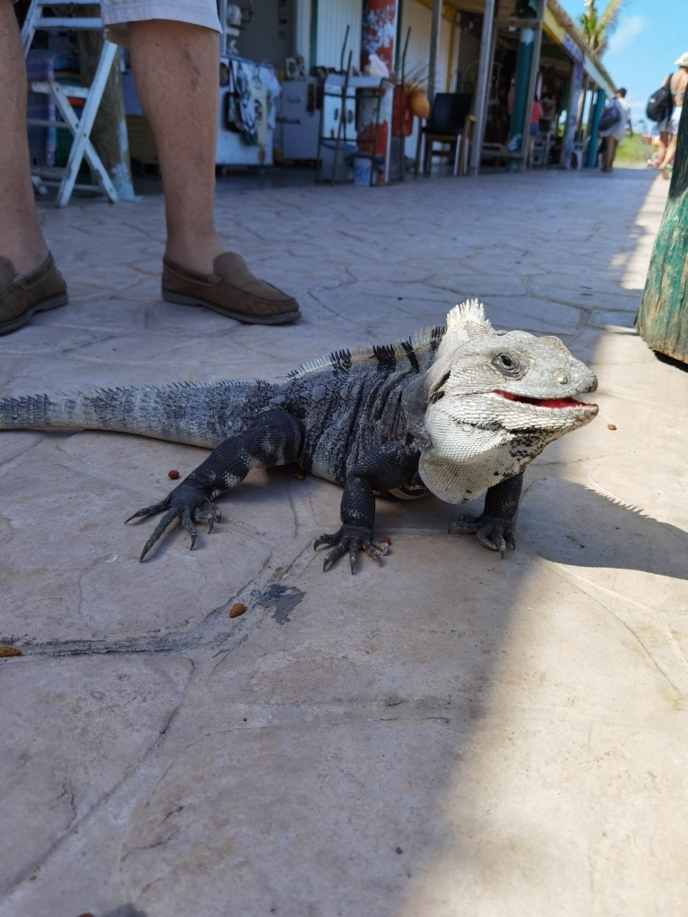 Punta sur, Isla Mujeres 